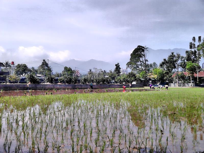 Aries Biru Resort Cisarua Ngoại thất bức ảnh